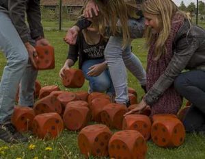 Familiemix, de groepsactiviteit voor een familiedag