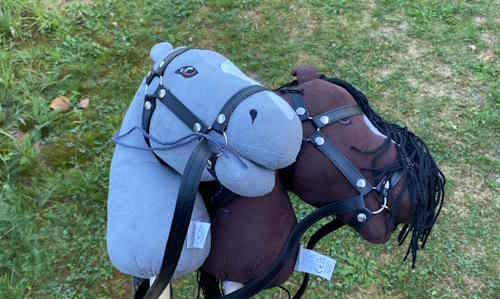 hobbyhorse Limburgs Uitje voor al uw groepsuitjes in Limburg